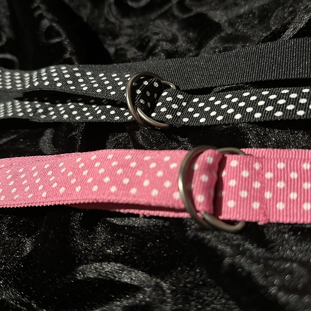 Retro Ribbon Belts - Picture 2 of 2